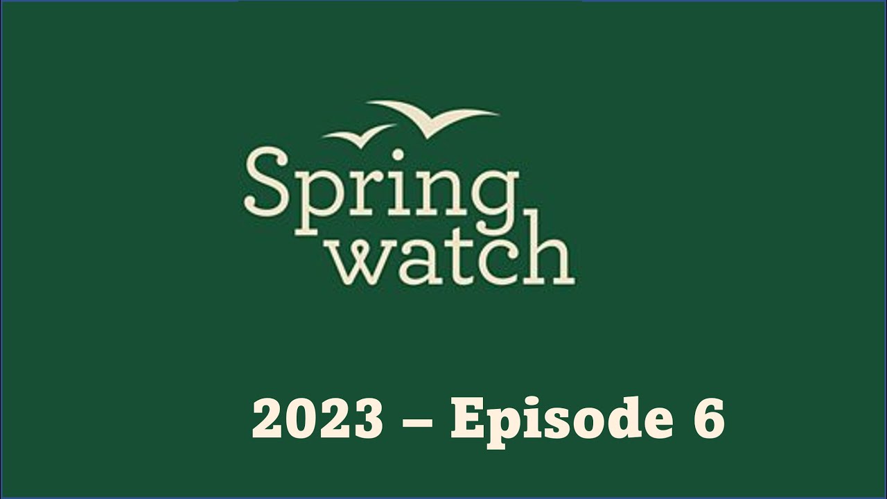 Springwatch 2023 Episode 6 Youtube
