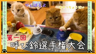 【絵本のような猫vlog】そうだ！ベルを鳴らそう。おやつをもらおう。勝負の時がやってきた。Bell cats is singing.