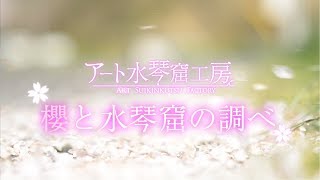 【水琴窟】桜と水琴窟