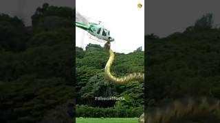 क्या हुआ जब एक बड़ा anaconda ने helicopter को निगल लिया? 😳| By fabeastfacts #shorts #youtubeshorts