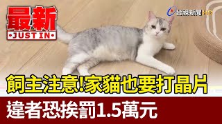 飼主注意！家貓也要打晶片 違者恐挨罰1.5萬元【最新快訊】