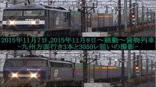 2015年11月7日,2015年11月8日～組動～貨物列車 -九州方面行き3本と3050レ狙いの撮影-