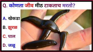 कोणता जीव मीठ टाकताच मरतो?||General Knowledge Marathi Prashn||Rani Gk