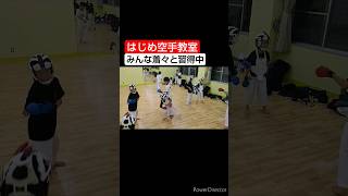 【空手 組手】廻し蹴りから裏廻し#空手#karate#蹴り#kick#shorts