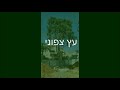 דרך השלום 92 96 the eastern העתקת עצי טוקסודיון דו טורי