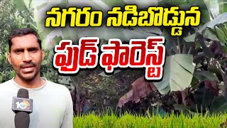 Young Farmer Food Forest Success Story | నగరం నడిబొడ్డున ఫుడ్ ఫారెస్ట్ | 10TV