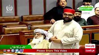 عوامی نیشنل پارٹی کے مرکزی صدر سینیٹر ایمل ولی خان کا سینیٹ اجلاس سے پہلا خطاب۔۔