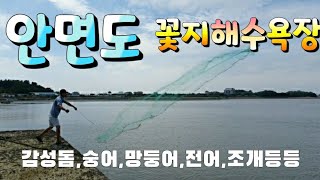 [무쇠투망 전성권]안면도 태안- 꽃지해수욕장 방포항 바다투망_투망_안면도가볼만한곳,cast a net