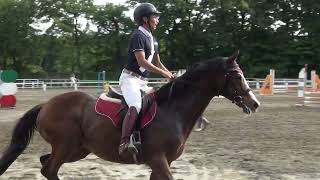 壬生乗馬クラブ　ヤワラ号　90cm　2位入賞