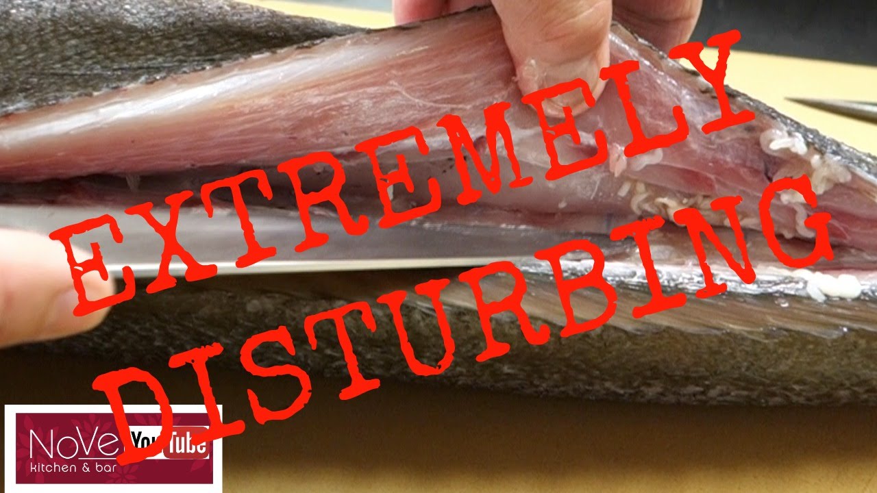 WARNING!! TAPEWORM SUSHI! Would You Eat This? - YouTube