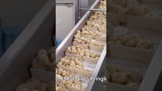 How PRINGLES Are Made! Subscribe.#youtubeshorts #youtube #trending #viral #youtu