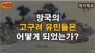 역사팩트 - 망국의 고구려 유민들은 이후 어떻게....