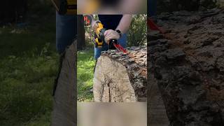 DeWALT FlexVolt Sawzall TORTURE Test VS Huge Log!!