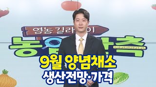 [영농길라잡이 농업관측] 2023년 9월 양념채소