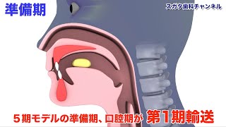 【高松市_健康_歯医者】摂食嚥下障害に対応したリハビリを行うには？_スガタ歯科チャンネル161（口腔ケアチャンネル）