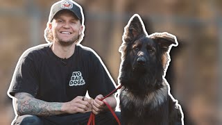 Your German Shepherd Training Blueprint
