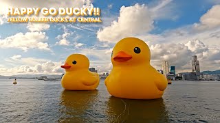 Happy Go Ducky! Visit Giant Yellow Rubber Ducks at Central Hong Kong | 4K | 中環海濱探訪小黃鴨