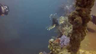 Dive Phuket: King cruiser wreck