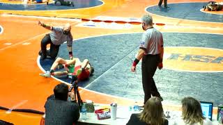 Fastest Tech Fall in the IHSA State Tournament's 86 Year History - 73 Seconds.