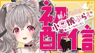 【初配信】はじめまして、小恋城ぷらむです！【#新人Vtuber】