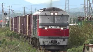 レッドベアーDF200-63号機　3067レ　室蘭本線　黄金駅