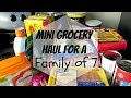 Mini Grocery Haul for a Family of 7 | Life With Vicki