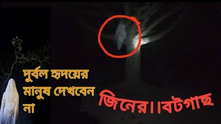 জিনের বটগাছ. haunted video Bangla haunted blog video#haunted