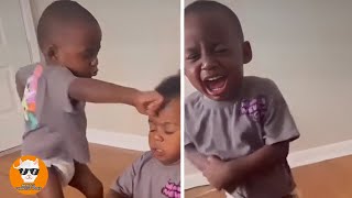 Don't Laugh !!! Siblings Give each other a Punch of Fate || Just Funniest