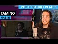 Voice Teacher Reacts to Tamino - Habibi (Live)