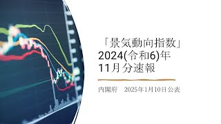 景気動向指数(2024(令和6)年11月分速報)