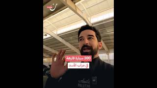 300 سيارة فارهة في مرآب الأسد