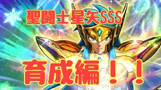 聖闘士星矢シャイニングソルジャーズ！育成編！【聖闘士星矢SSS】