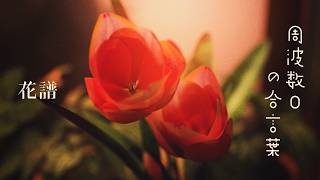 KAF #158 -  Voiceless password [Music Video]