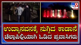 Kodaguಗಿನ ಹಾರಂಗಿ ಉದ್ಯಾನವನಕ್ಕೆ ನುಗ್ಗಿದ ಕಾಡಾನೆ, ಚೆಲ್ಲಾಪಿಲ್ಲಿಯಾಗಿ ಓಡಿದ ಪ್ರವಾಸಿಗರು | Tv9 Kannada