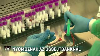 Nyomoz a rendőrség az egyik legnagyobb magyar őssejtbanknál 19-07-13