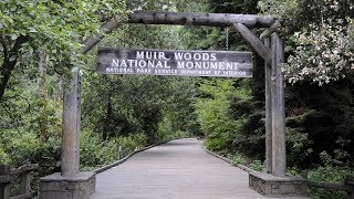 Visiting Muir Woods? Not without a reservation