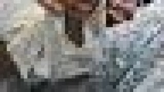 Live Sex Kashmiri Gf Bf Sex