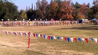 Cam High (ACHS) Boys XC CIF State Finals - Start