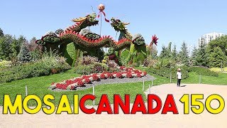 MOSAï CANADA 150