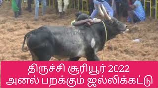 அனல் பறக்கும் ஜல்லிக்கட்டு | trichy suriyur jallikattu 2022 | திருச்சி சூரியூர் ஜல்லிக்கட்டு |