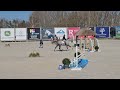 kia mare 2016 by kolibri comp lier 95cm first outdoor show 2 rounds