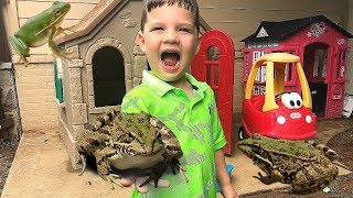 Caleb Play Outside With FROGS and Bugs Pretend Play!