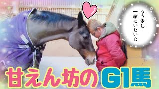 ツンデレなG1馬が1番デレた日【ツルマルボーイ様のシモべ】