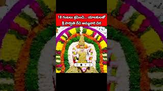 యాలకులతో అమ్మవారికి అలంకరణ #devotional #youtubeshorts #viralvideo