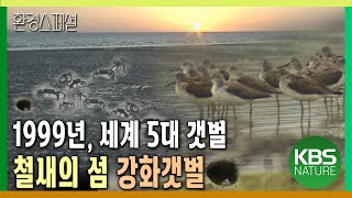 1999년 세계 5대 갯벌, 철새의 섬 강화갯벌 [환경스페셜-갯벌 사람을 살리다] / KBS 19991020 방송