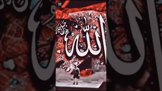 ONLY ALLAH #shortvideo #islamicvideo #treanding #foryou