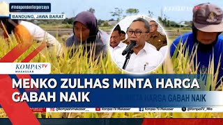 Menko Zulhas Minta Harga Gabah Naik Saat Panen Raya Maju