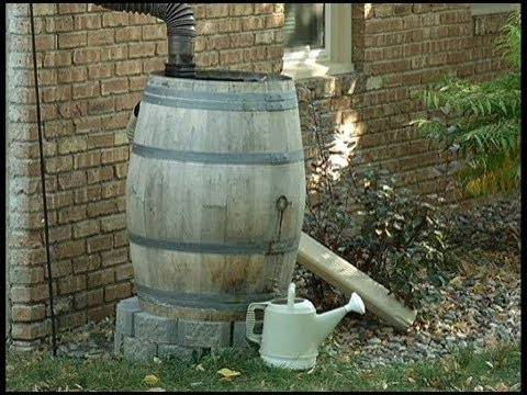 In the Garden: putting wine barrels back to work In the Garden: putting wine barrels back to work
