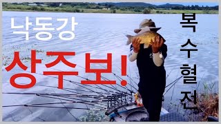 낙동강 상주보 복수혈전’