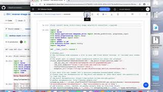 IBM Watson and Python Notebook for Reverse Image Search
